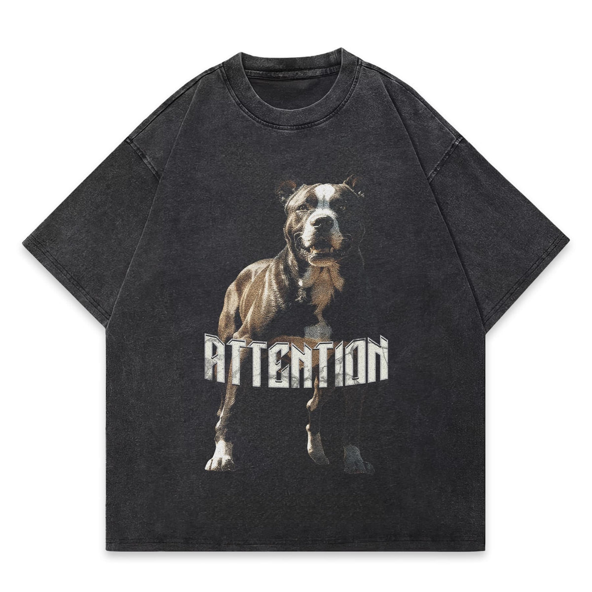 Pitbull Oversized Washed Graphic T-Shirt - IMG